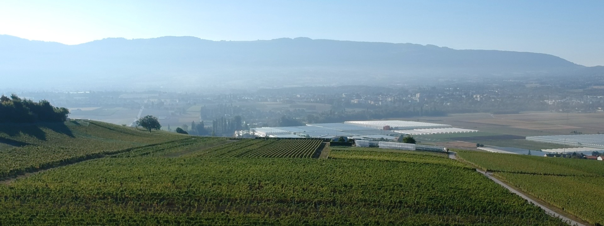 Nouveautés du vignoble 2018 - République et Canton de Genève - République et canton de Genève
